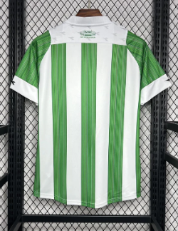 Coritiba Alternativa 2024/25